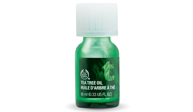 the body shop